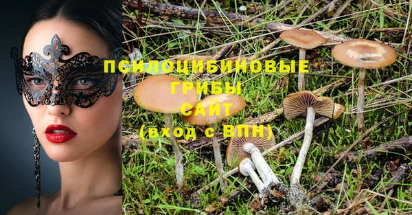 марки nbome Алексеевка