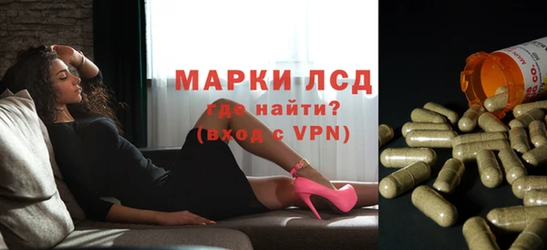 дмт Алзамай