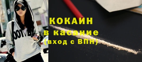 стаф Алексин