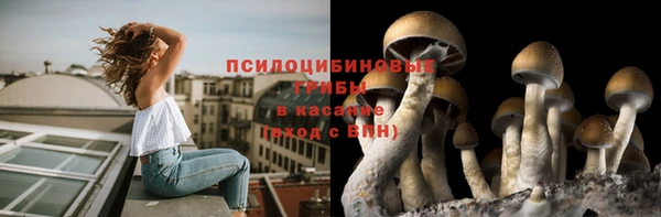 марки nbome Алексеевка