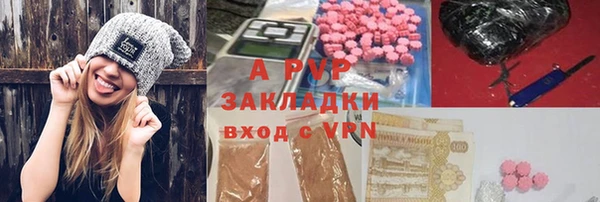 стаф Алексин